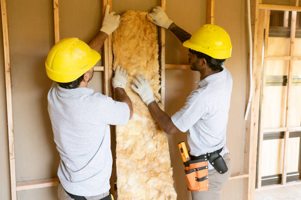 Best Insulation Contractors for Homes  in Fmington, AR